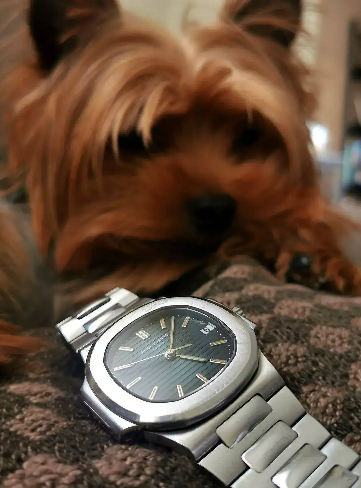 patek atila.webp