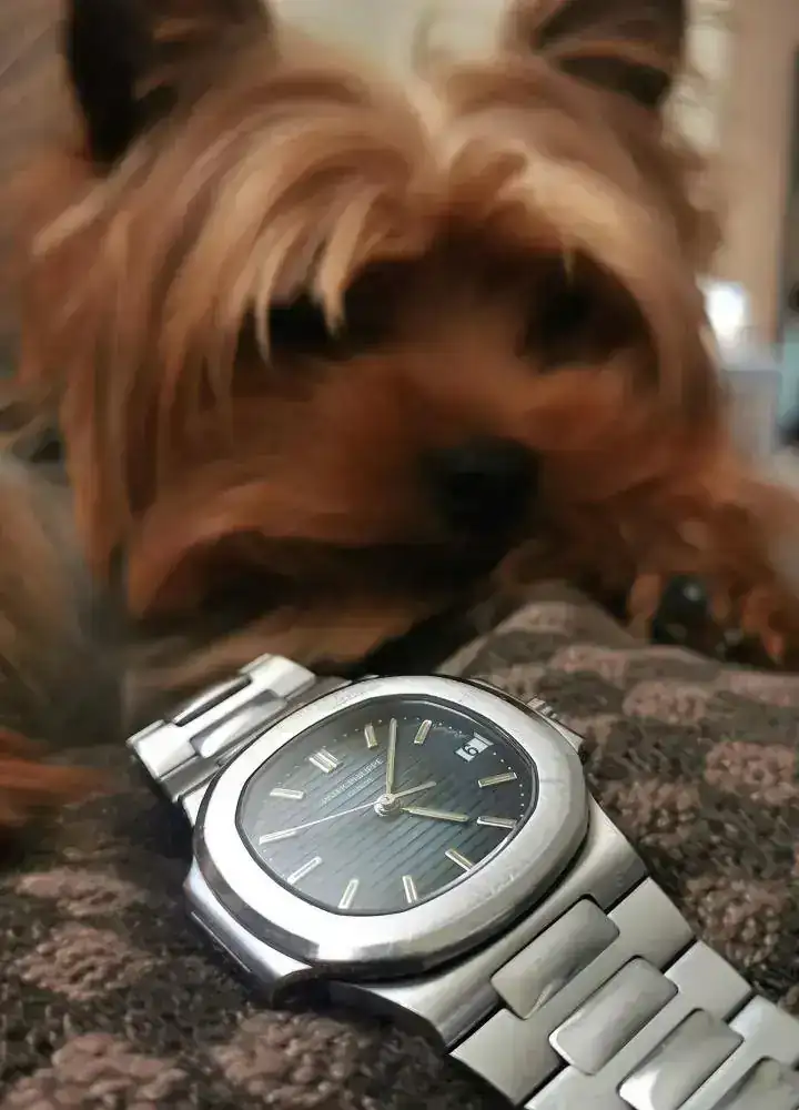 patek atila.webp