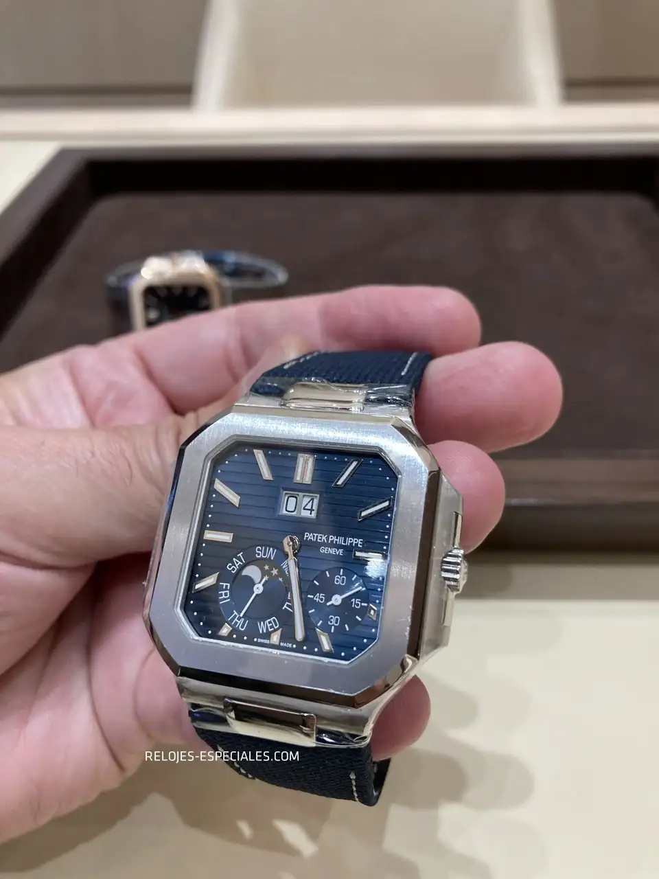 Patek_Cubitus_2.webp