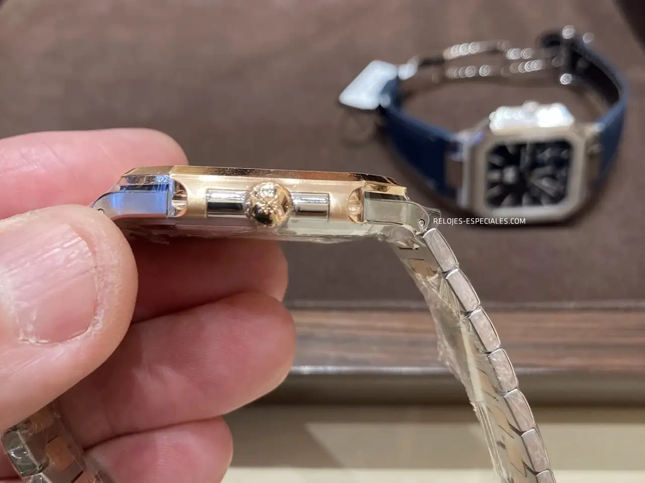 Patek_Cubitus_4.webp