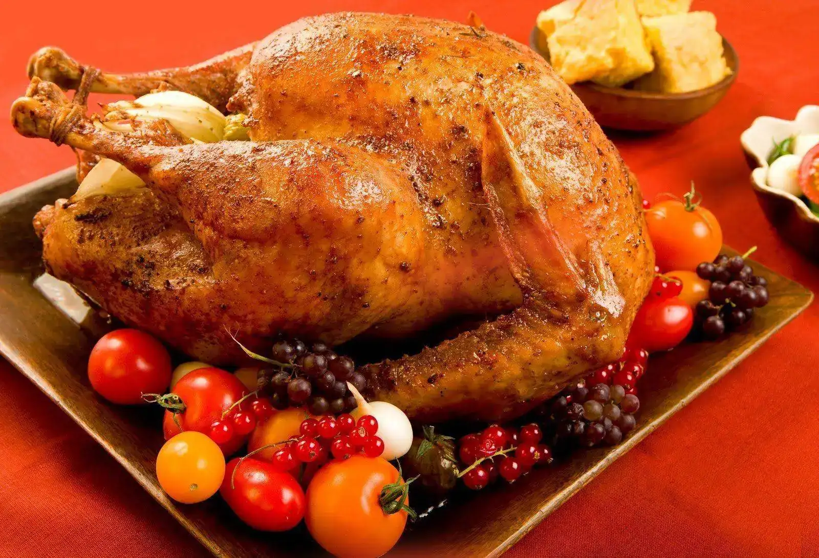 pavo252812529.webp
