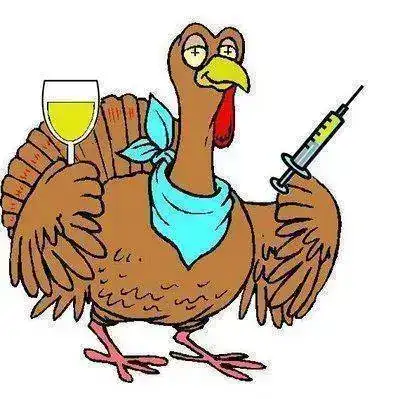PavoNavidad.webp