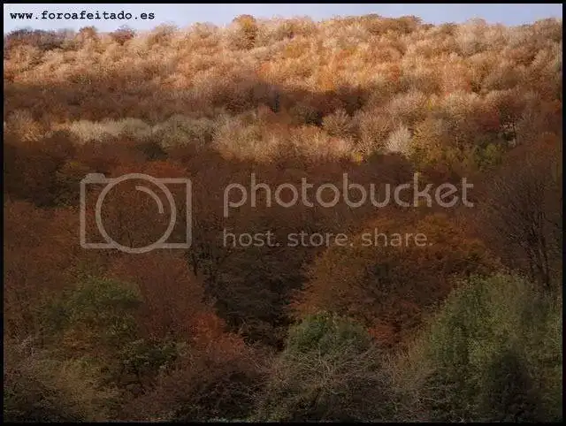 PB011241.webp