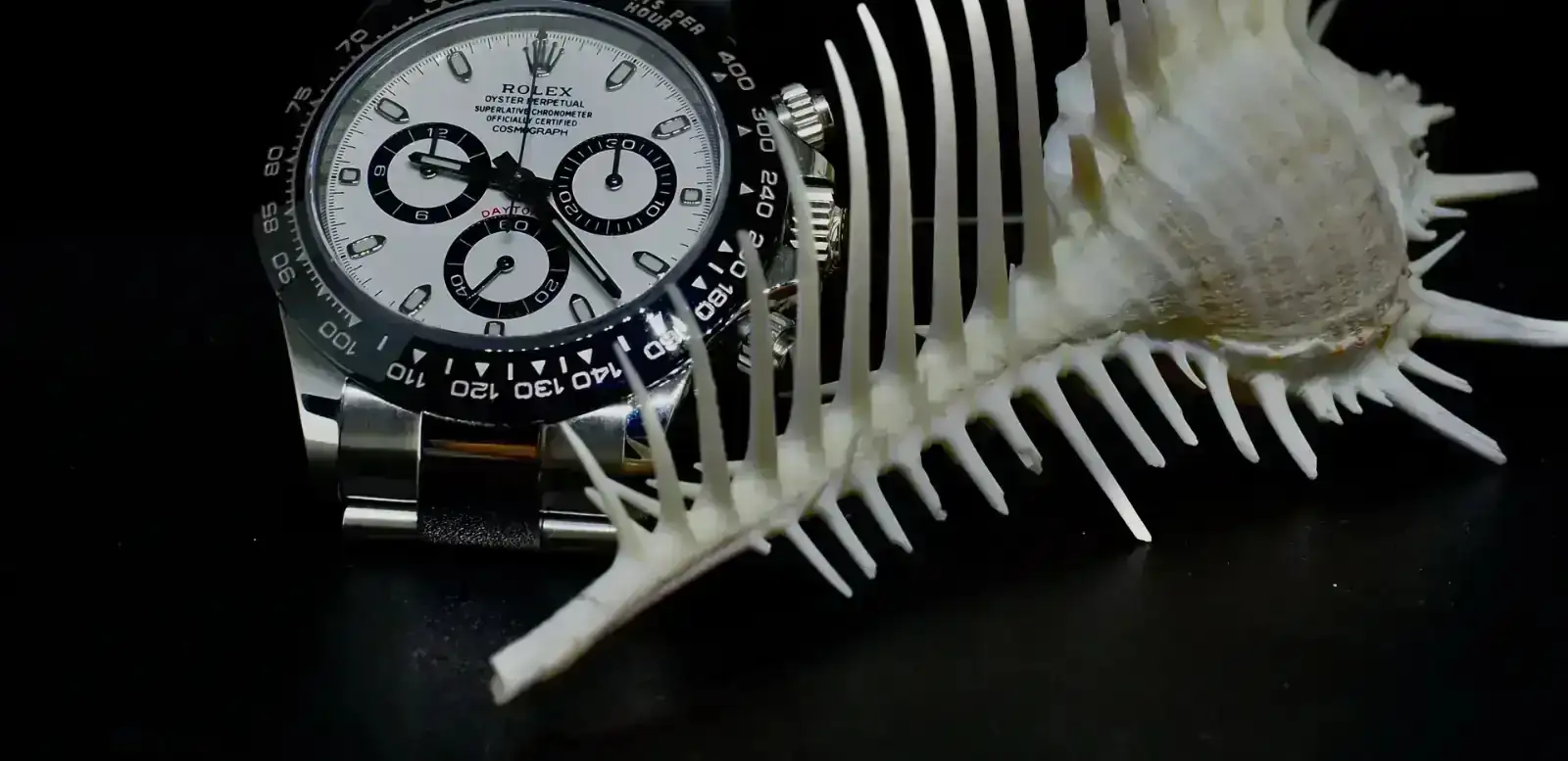 PB131897 (4).webp