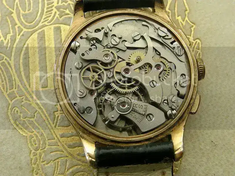 PC230003.webp