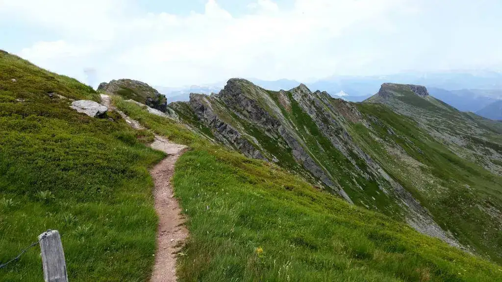 peña labra1.webp