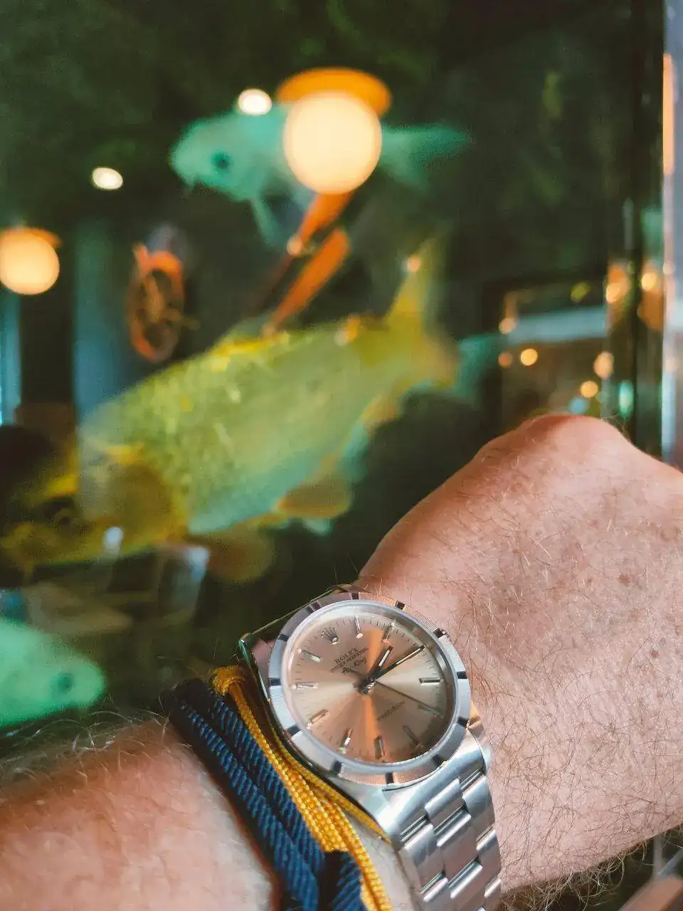 peces1706.webp