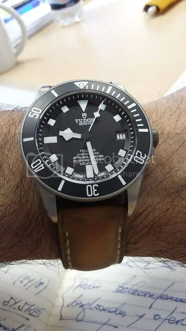 Pelagos%20Friday_zpse6vtrewx.webp