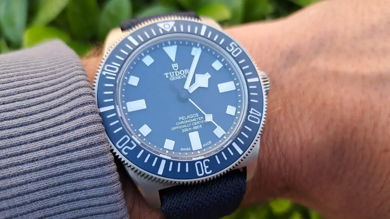 Pelagos FXD2.webp