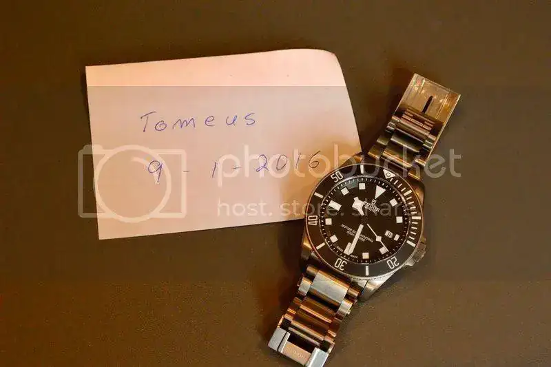 pelagos1.webp