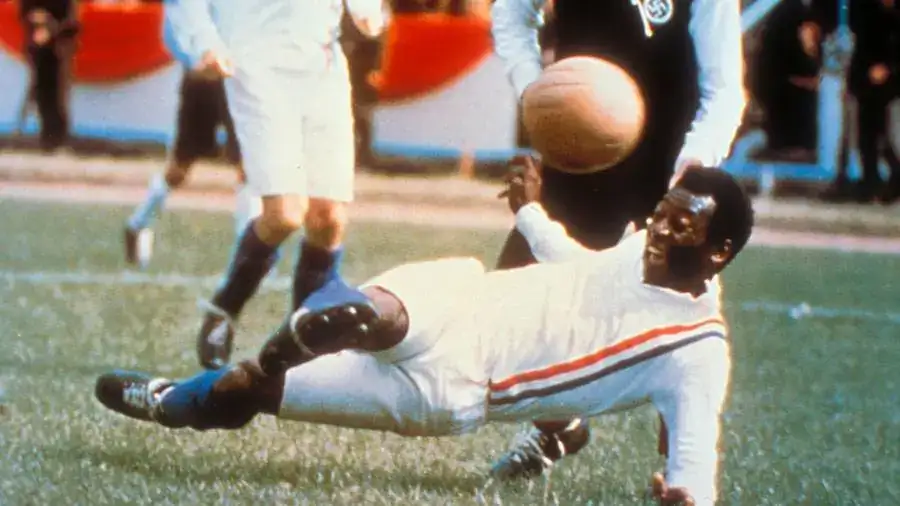 pele_422-668658_20200428102559.jpg