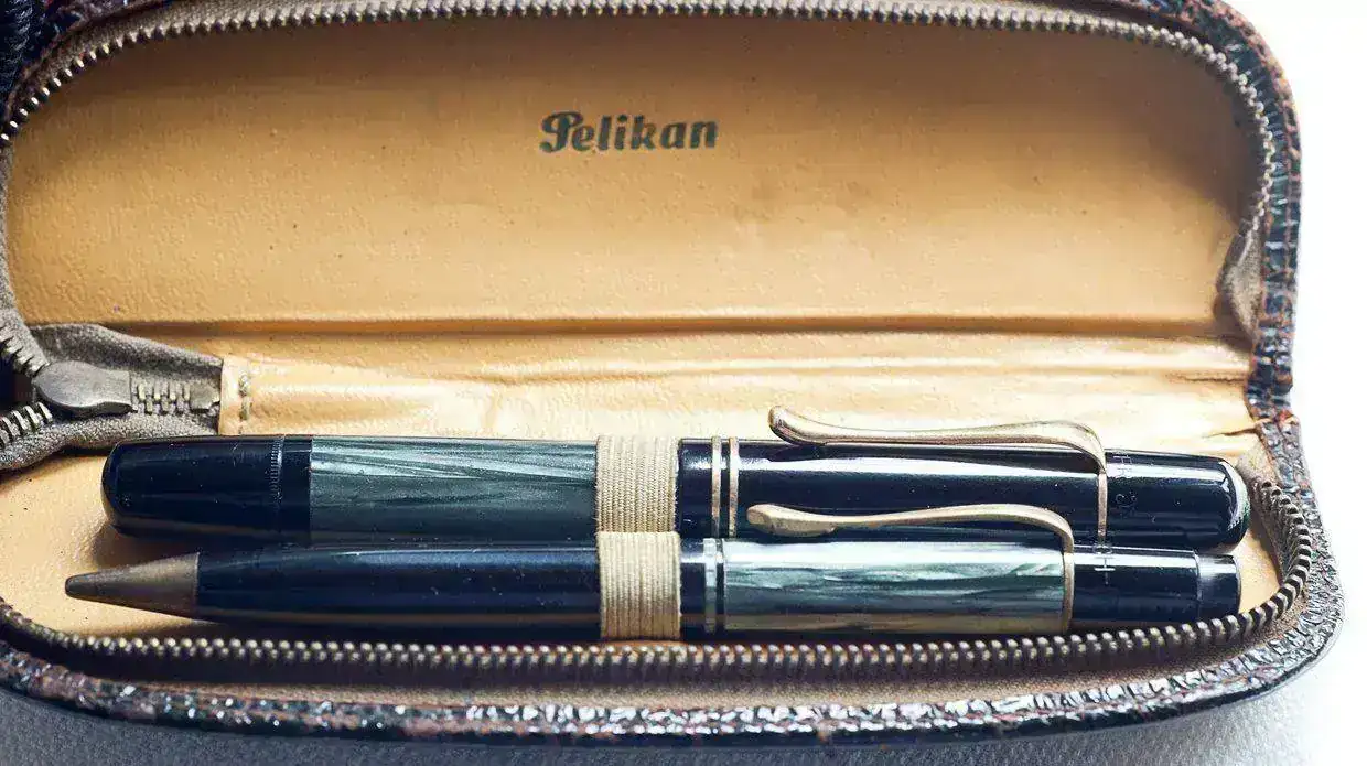 Pelikan 100n.jpg