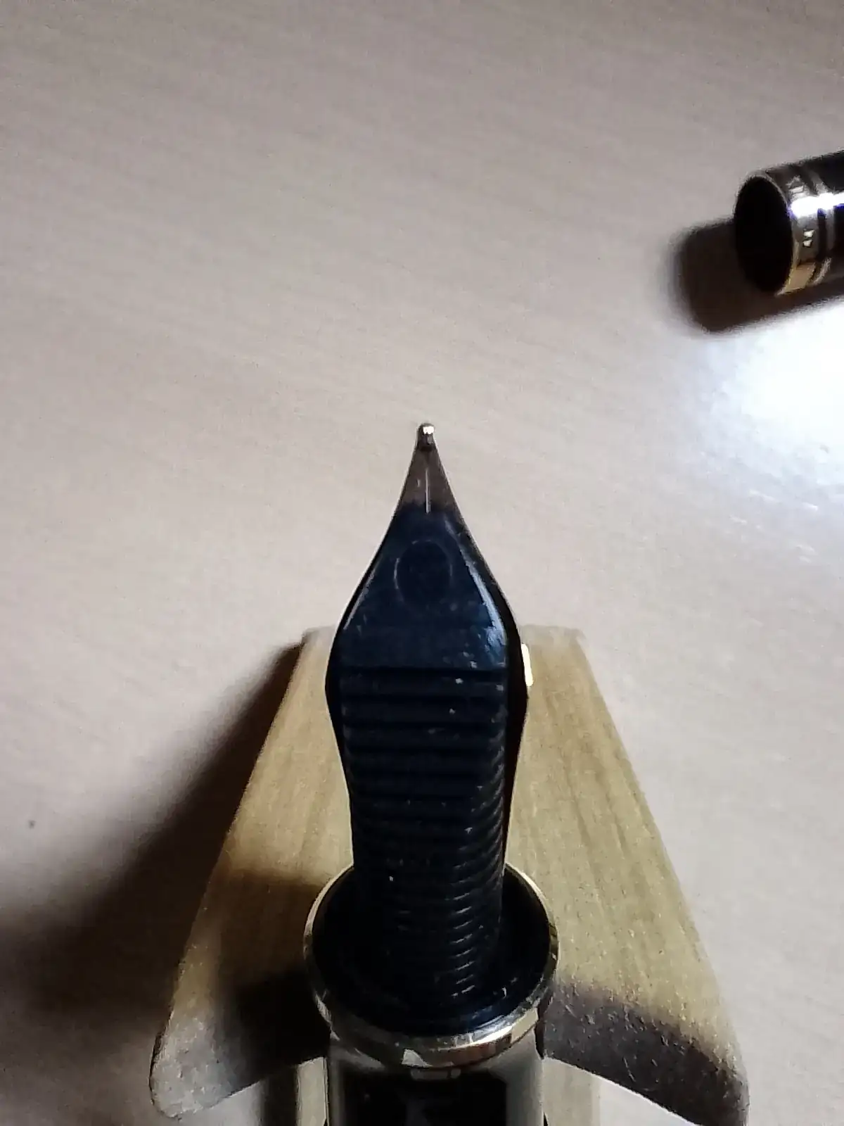 PELIKAN 2.webp