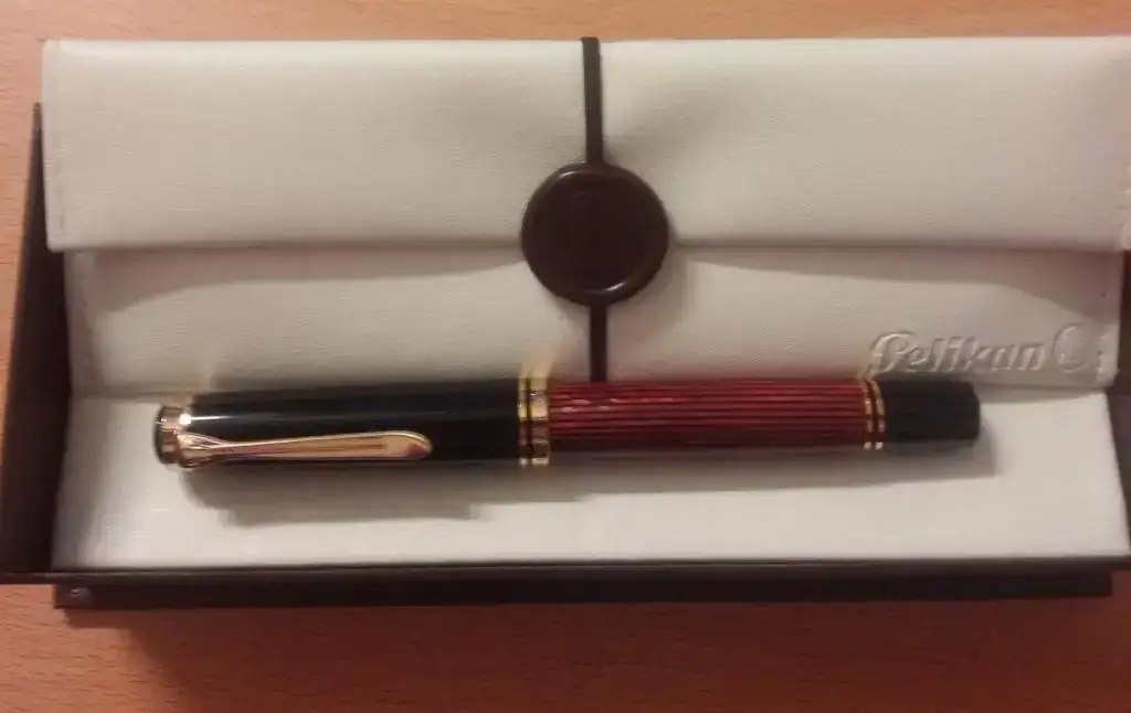 Pelikan 800.pdf.webp