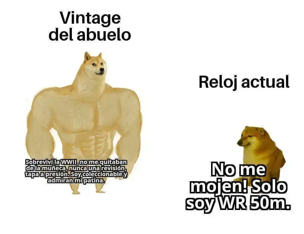 Perritos.webp
