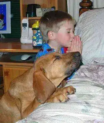 Perro+y+ni%C3%B1o+rezando.webp