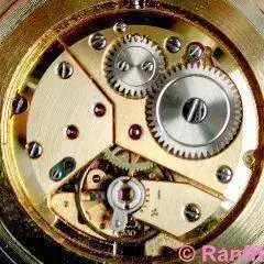 Peseux_330-2.webp