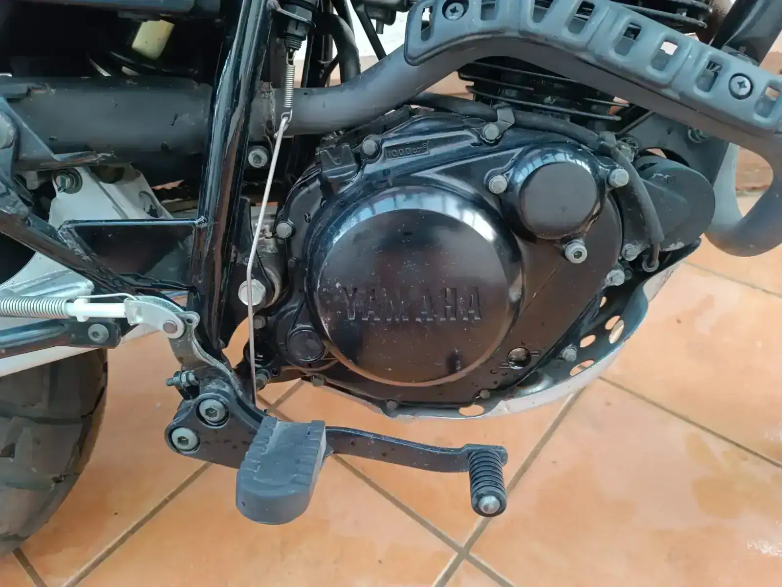 PHOTO-2026-02-25-12-26-32 (1).webp