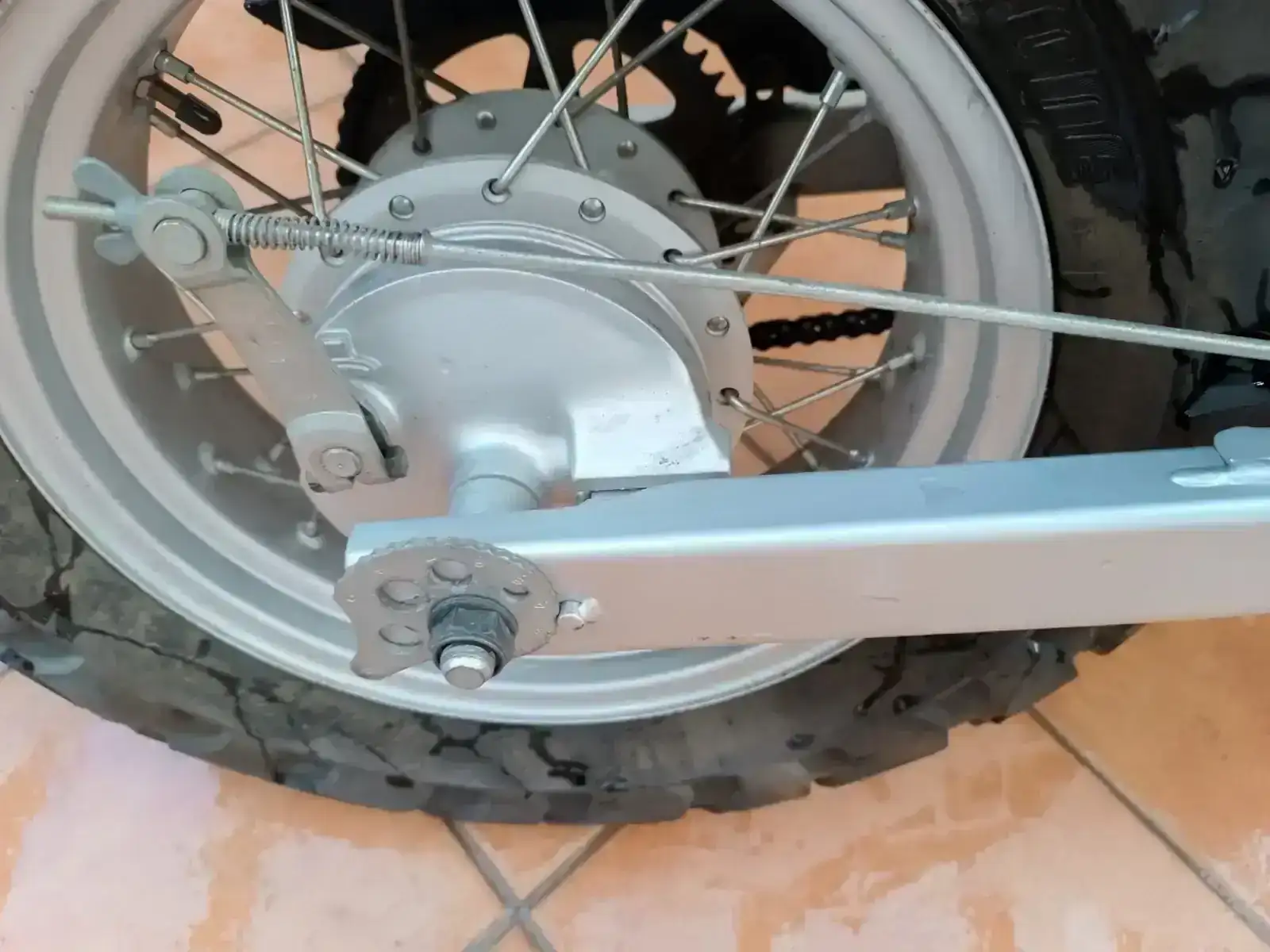 PHOTO-2026-02-25-12-26-32 (3).webp