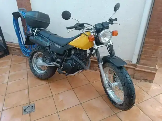 PHOTO-2026-02-25-12-26-32 (4) copia.webp