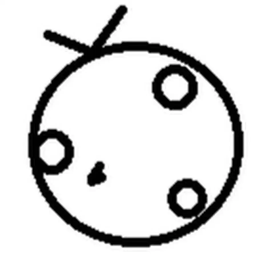 photo.webp