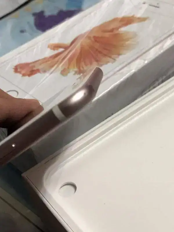 photo_2017-05-15_14-41-34 (2).webp