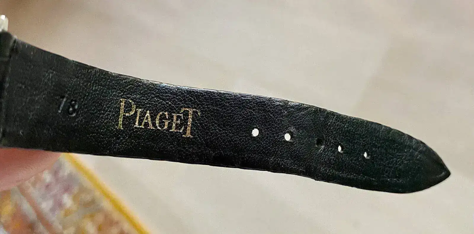 Piaget.Correa.webp