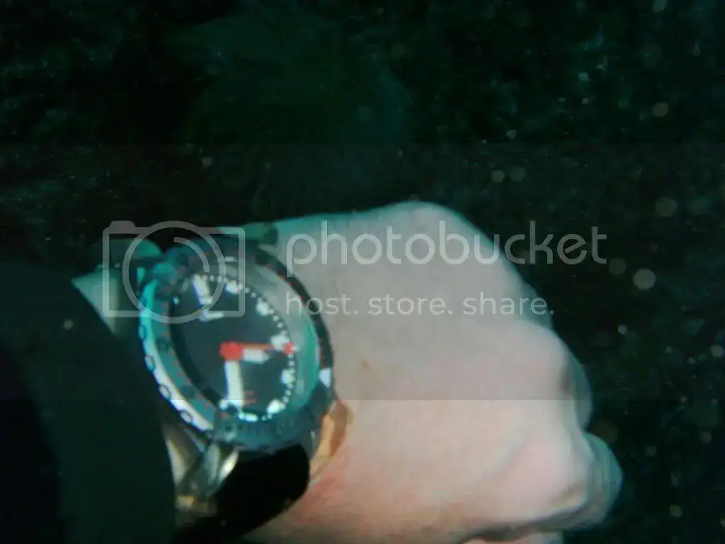 PICT0258_zps021a01d6.webp