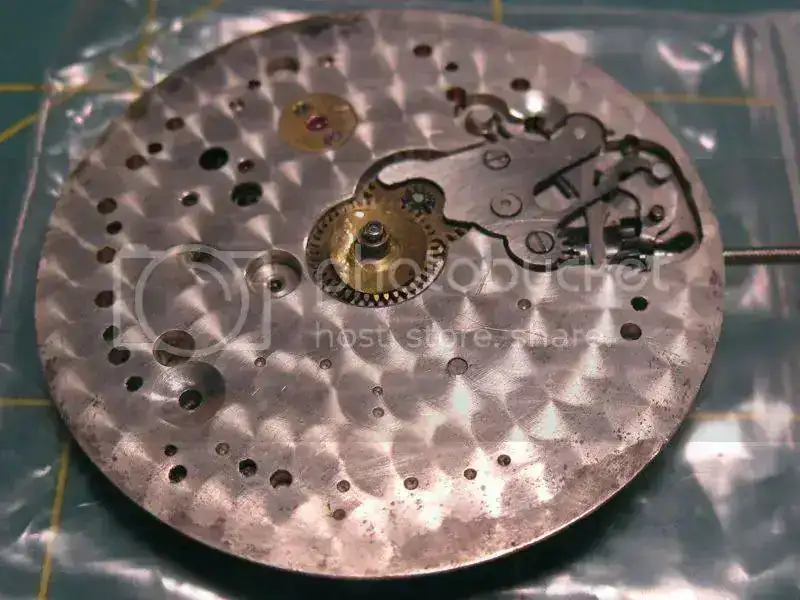 Picture002.webp