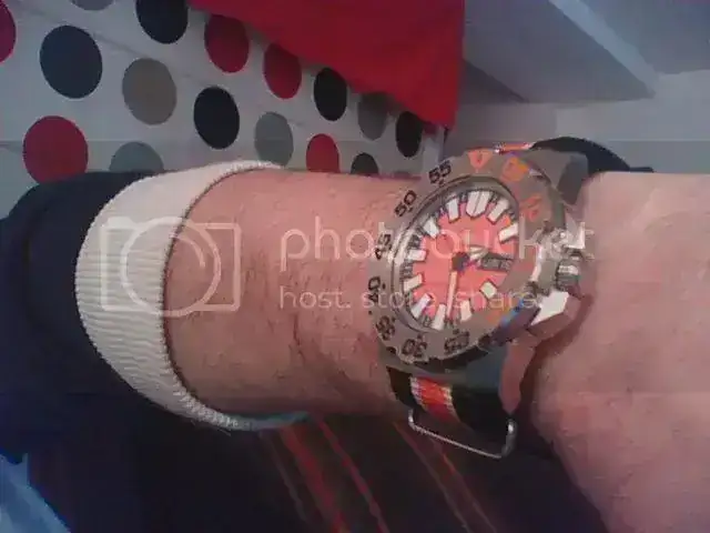 Picture0229.webp