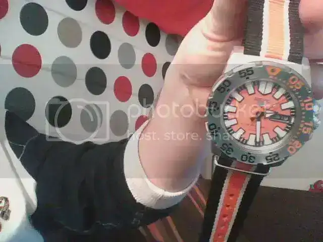 Picture0230.webp