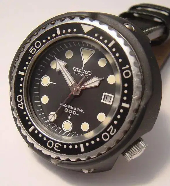 picture_2.sized.webp