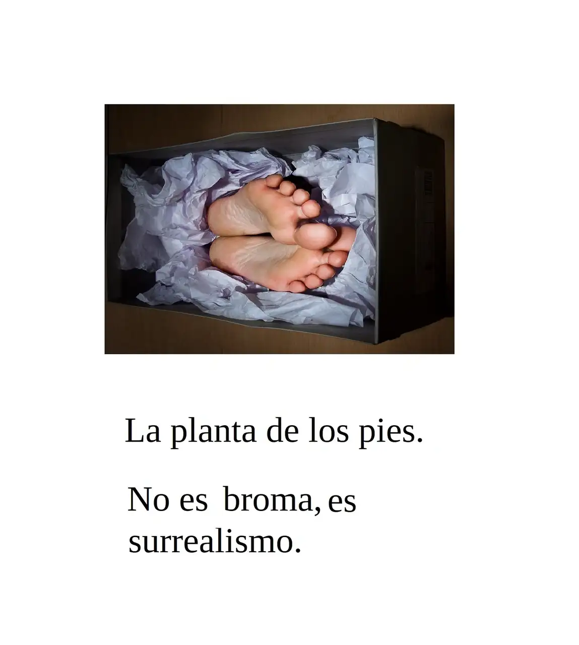 pies.webp