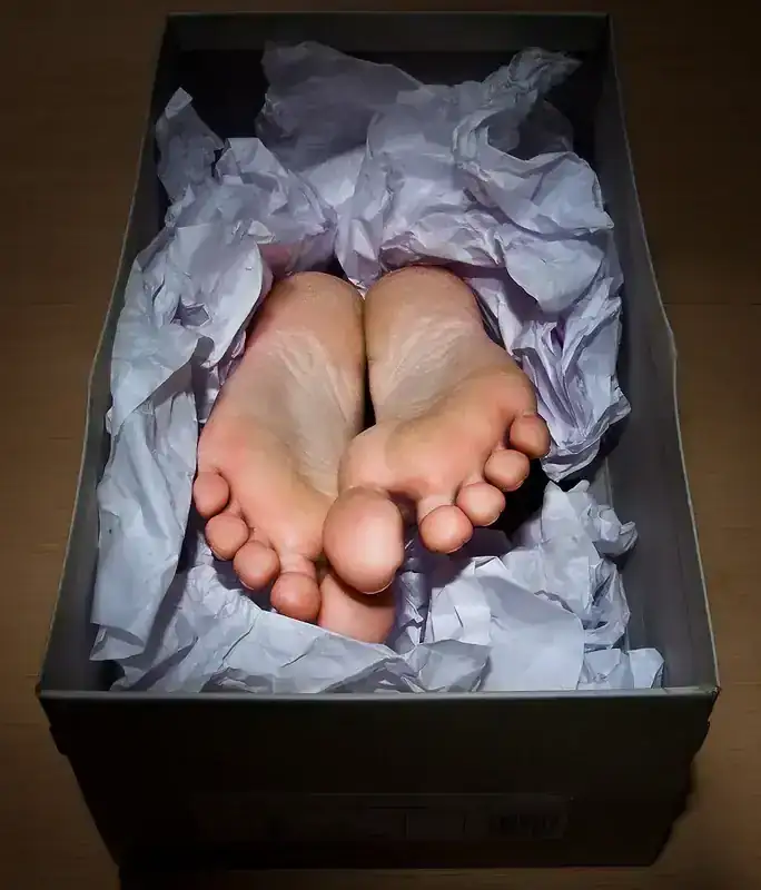 pies.webp