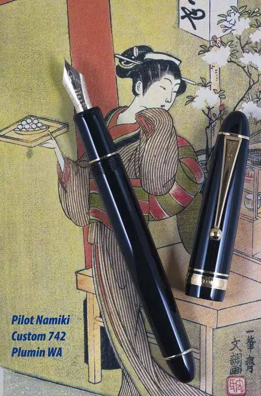 Pilot Custom 742 WA_9136 copia.webp
