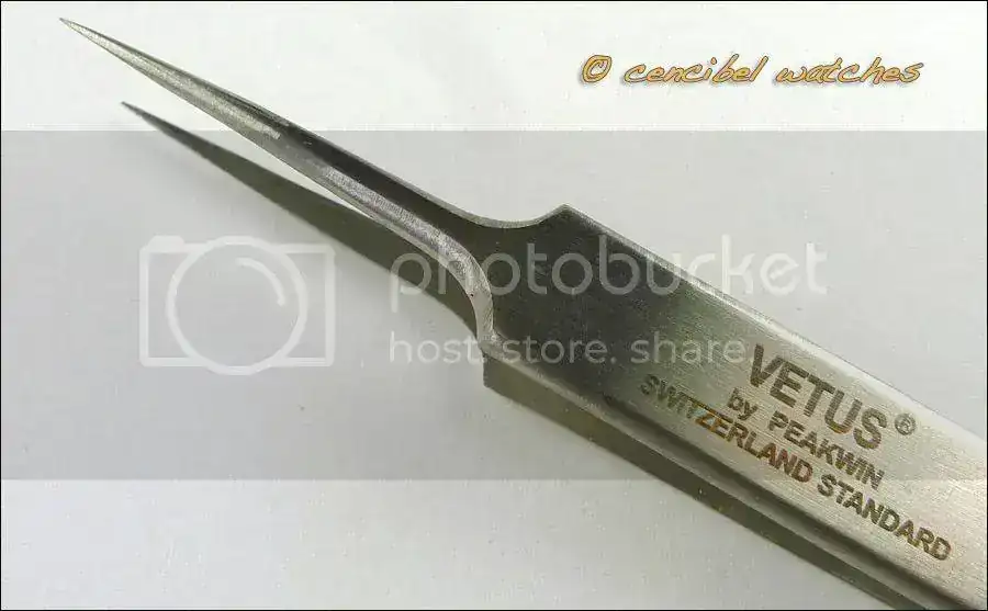 PinzasVetusfoto4.webp