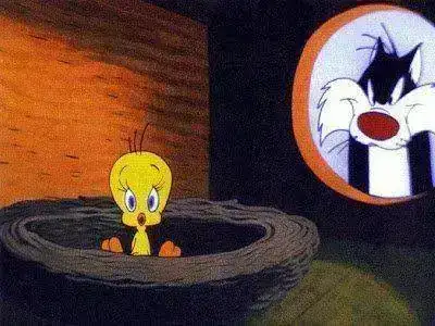piolin.webp