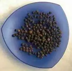 piper-nigrum-pimientas.webp