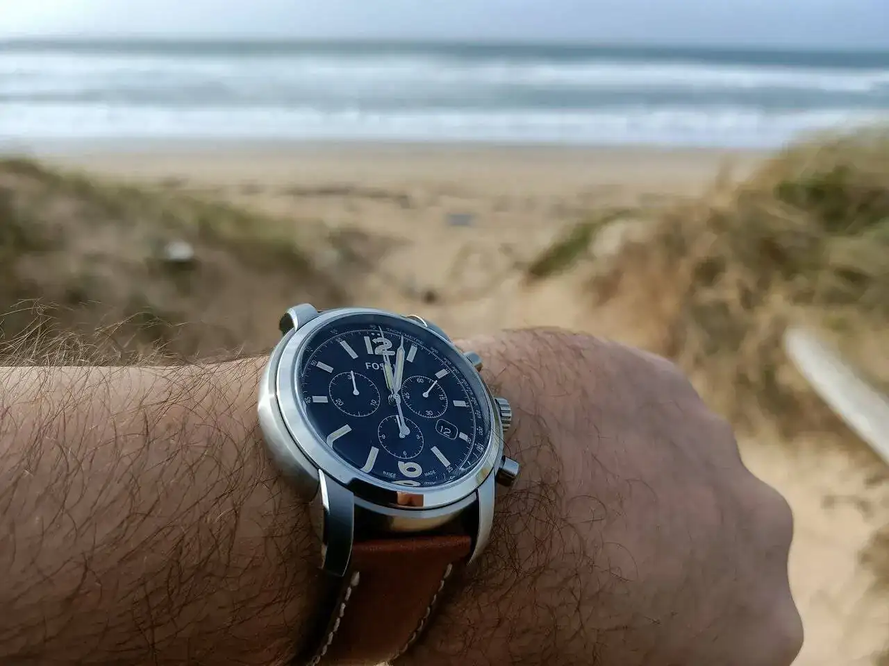 playa fossil.webp