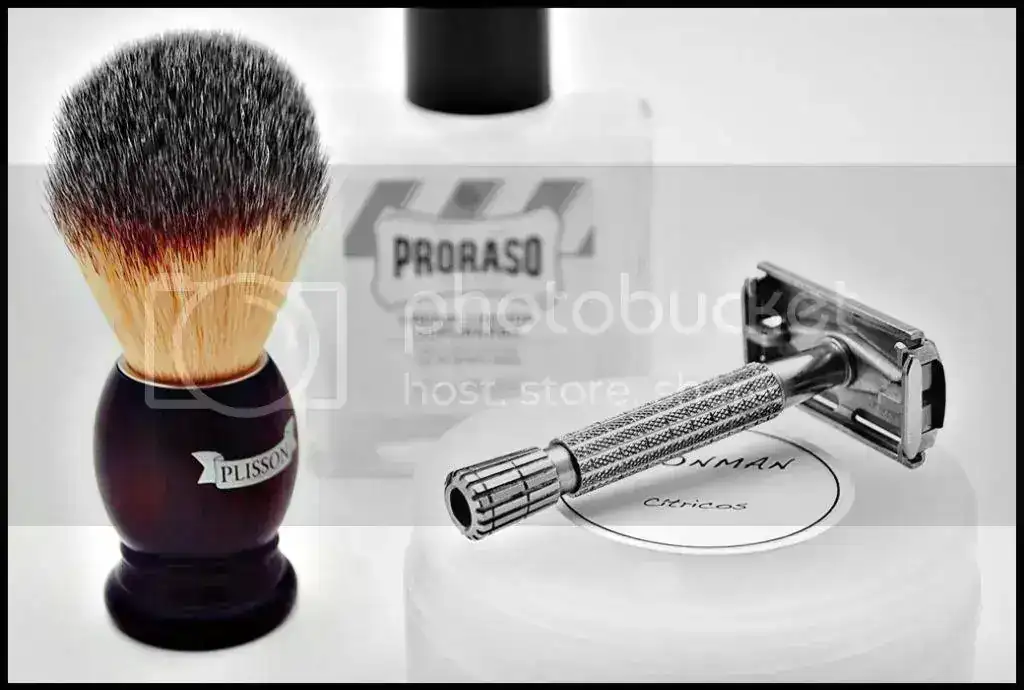 Plisson3_zps73e2369a.webp