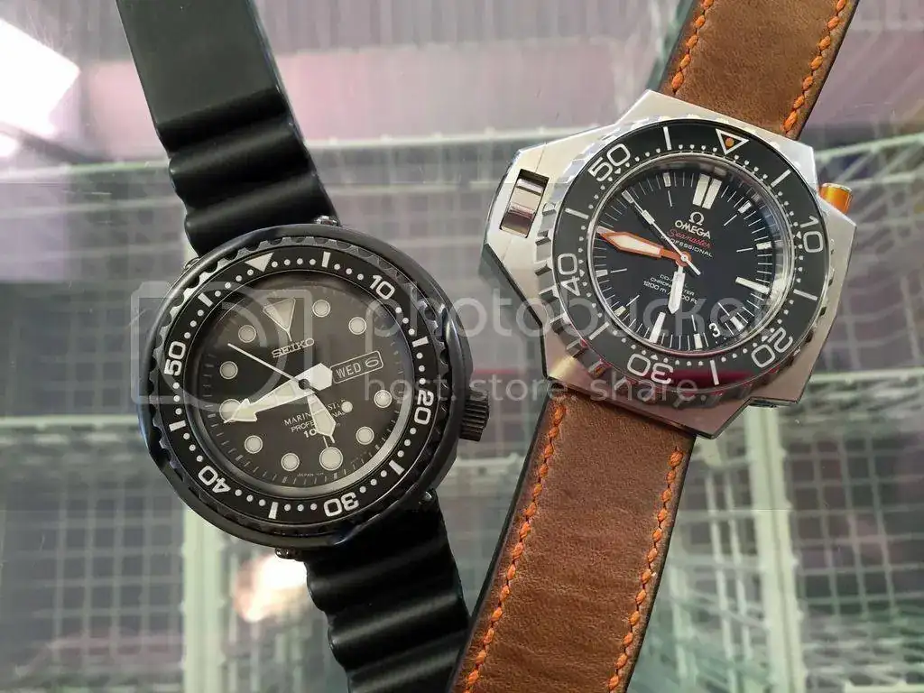 plo%20sek_zpso65pz8fn.webp