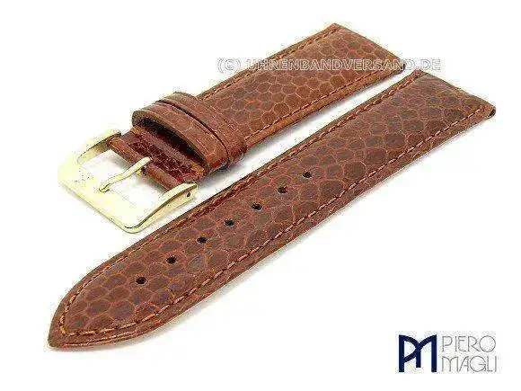 PmLC077000-amazon-braun20.webp