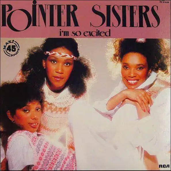 pointer-sisters.webp