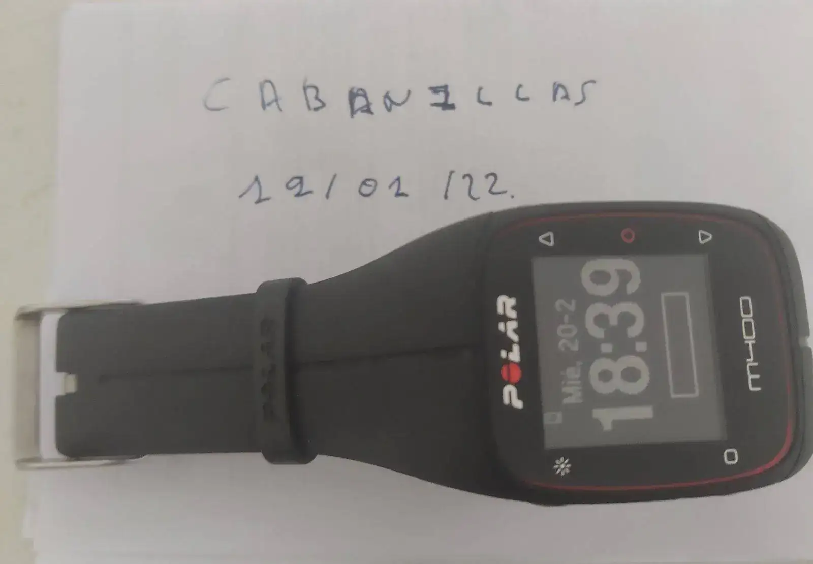polar1.webp