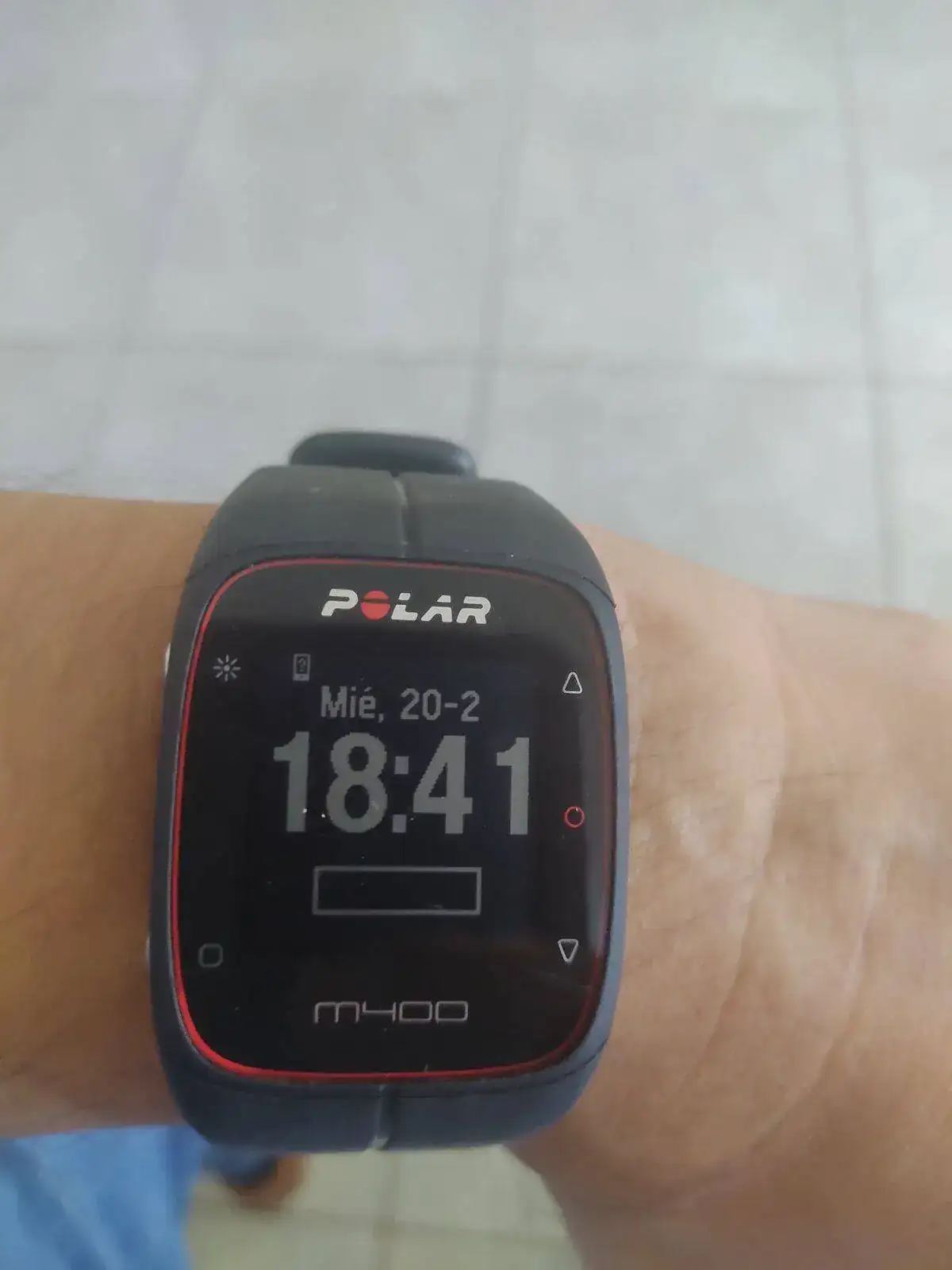 polar2.webp
