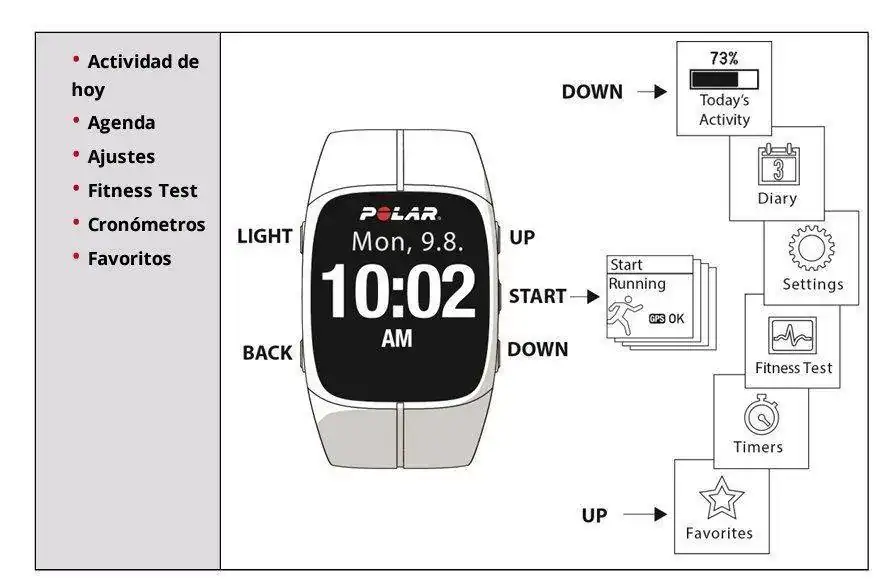 polar7.webp