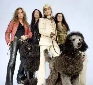 poodles_main_01.webp