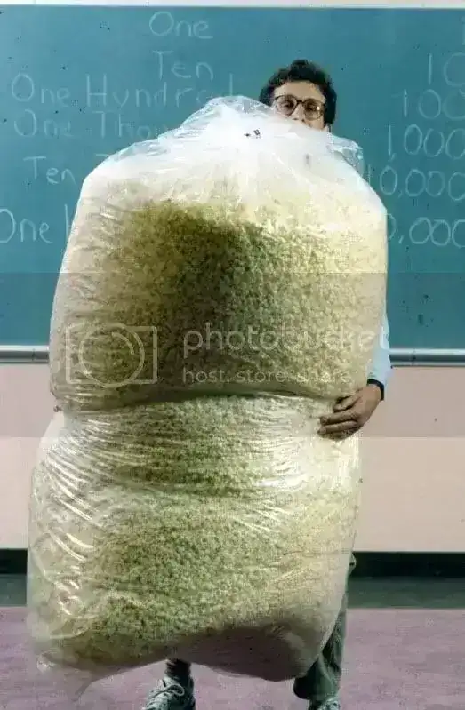 PopcornHugeBags.webp