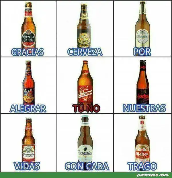 pormeme_lw32w_gracias-cerveza-por-alegrar-nuestras-vidas-con-cada-trago.webp