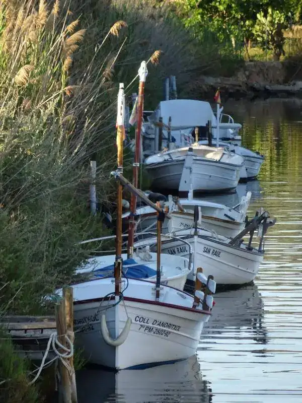 Port d'Andratx _Mallorca.webp